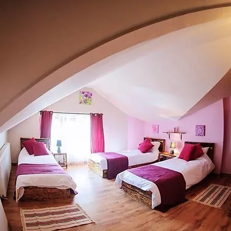 Pensionat Snow Pine Bansko